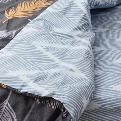 Постільна білизна Isleep  Ранфорс 21144 Євро 200х220 з простирадлом на резинці 160х200 1008034 фото