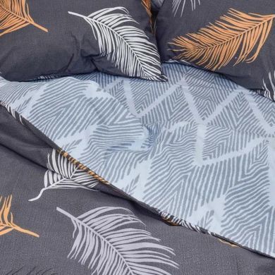 Постільна білизна Isleep  Ранфорс 21144 Євро 200х220 з простирадлом на резинці 160х200 1008034 фото