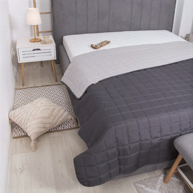 Легке двостороннє покривало ковдра Дует 210x240 Євро стьобана мікрофібра Графіт 1007673 фото